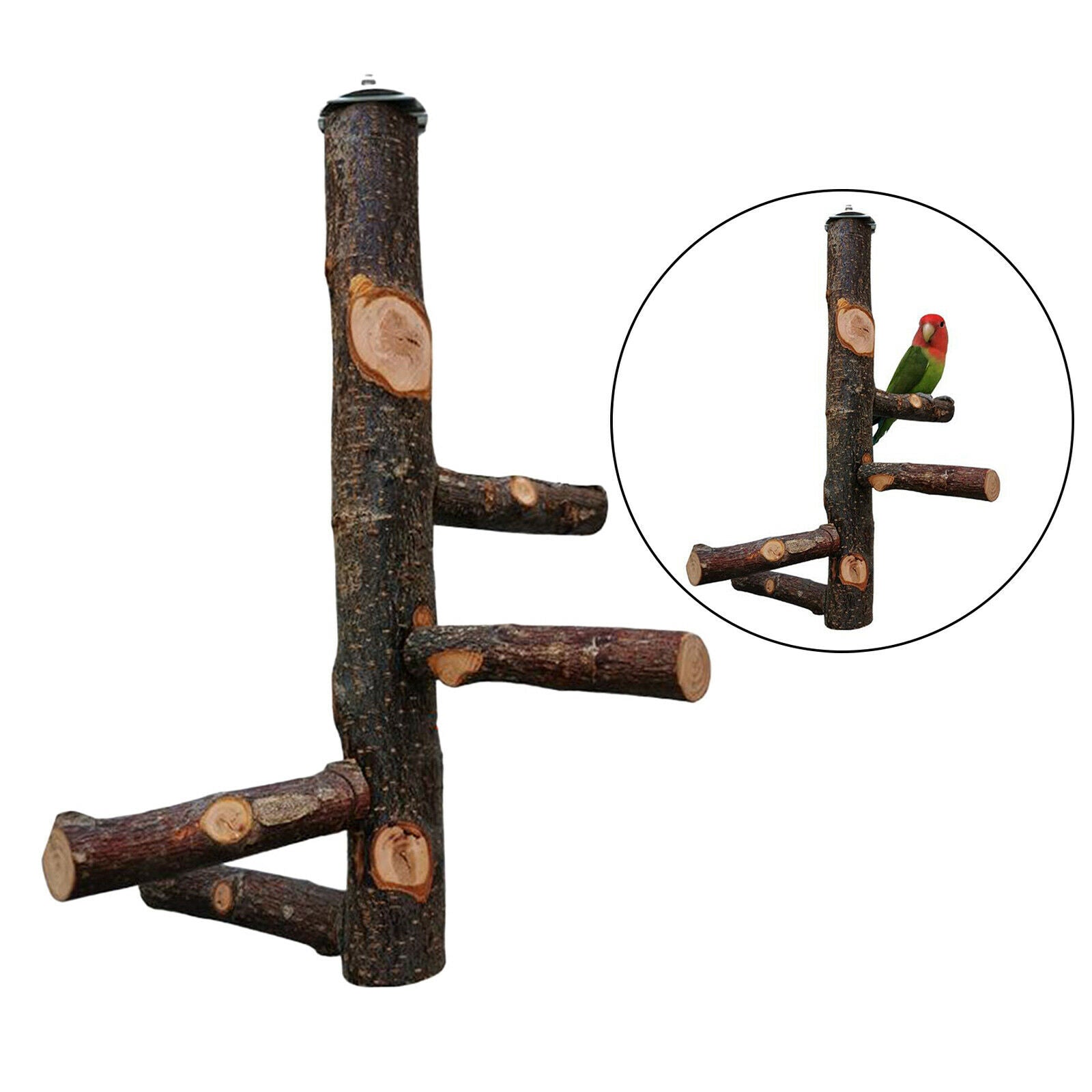 Bird Perch Natural Wood Stick Stand Rack Birdcage Hanging Swing Canaries