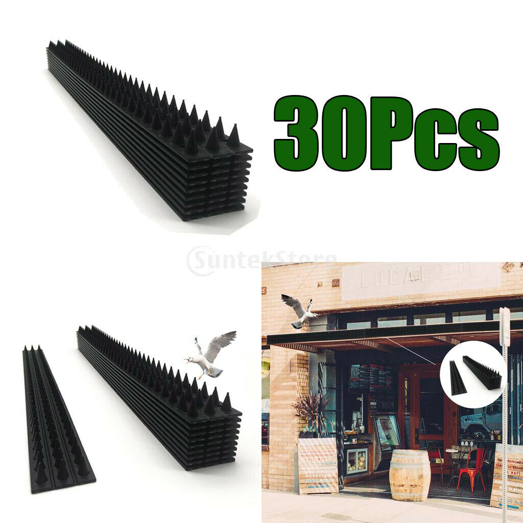 Set of 30 Wall Spikes Cat Burglar Prickle Strips Bird Intruder Deterrent