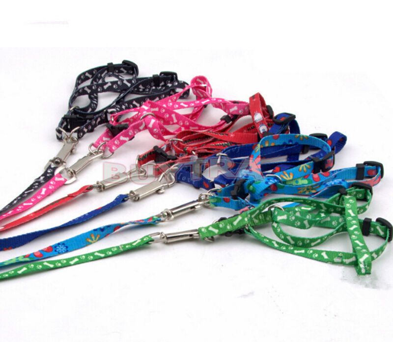 Pet Small Dog Puppy Cat Rabbit Kitten Nylon Harness Collar Leash Lead BD.l8