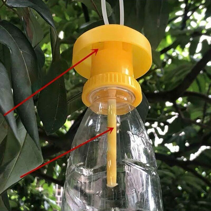 1PC Fruit Fly Trap Killer Plastic Drosophila Trap Catcher Pest Insect Control