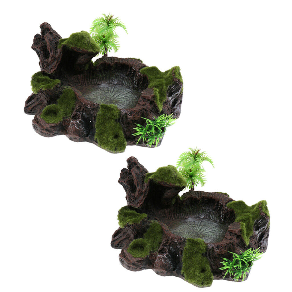 2x Reptile Water Lizards Turtle Feeder Dish for Reptile Bearded Dragons