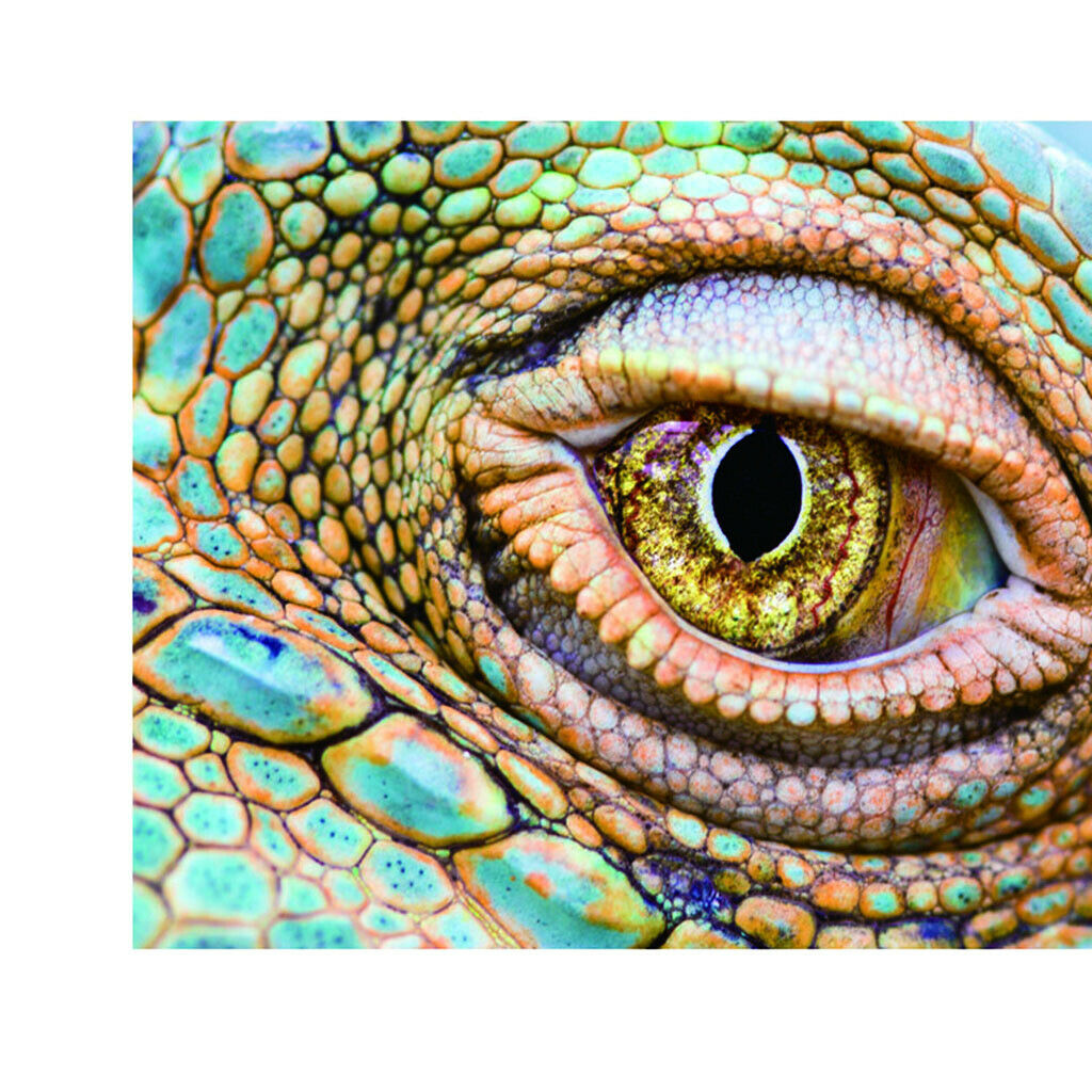Aquarium Background Eye Style Poster Fish Tank Wallpaper Decoration XS