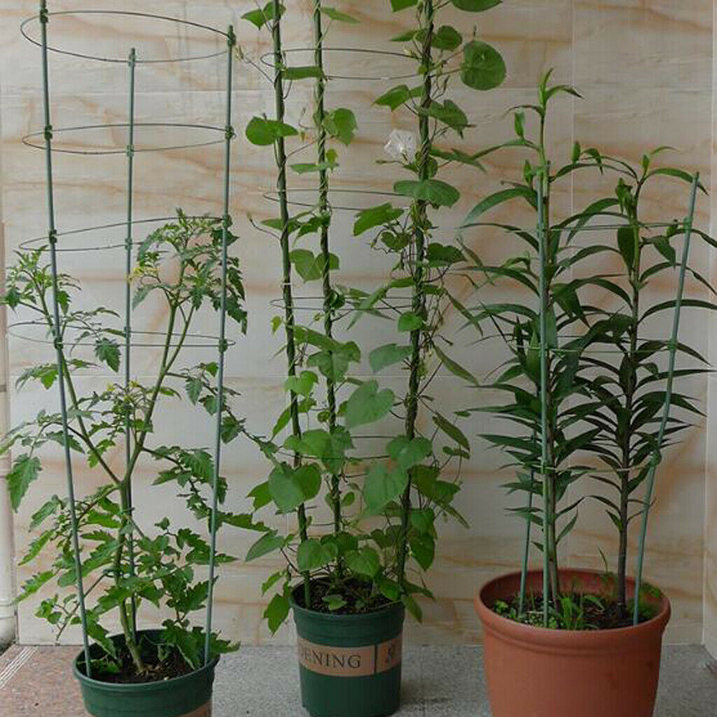 2x 60cm Durable Plant Climbing Support Cage Trellis Flowers Rack Stand Frame
