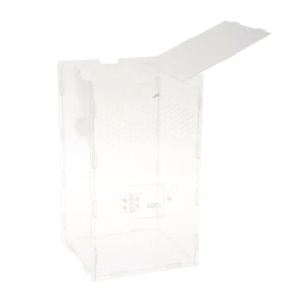 Ventilation & Clear Amphibian Spider Gecko Chameleon Feed DIY Box