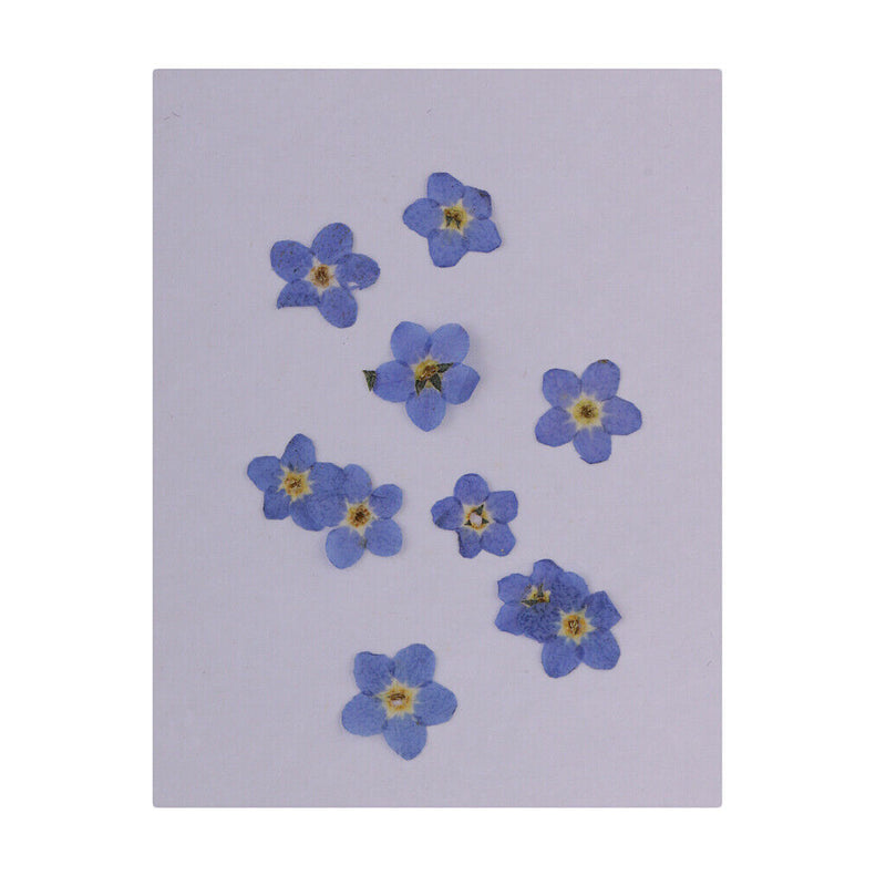10 Pieces   Dried Flowers Embellishments for DIY Phone Case