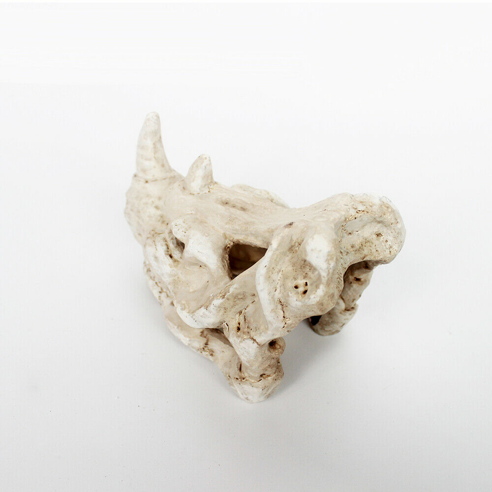 Aquarium Fish Tank Simulate Bone Reptile Terrarium Hide out Landscape NS-126