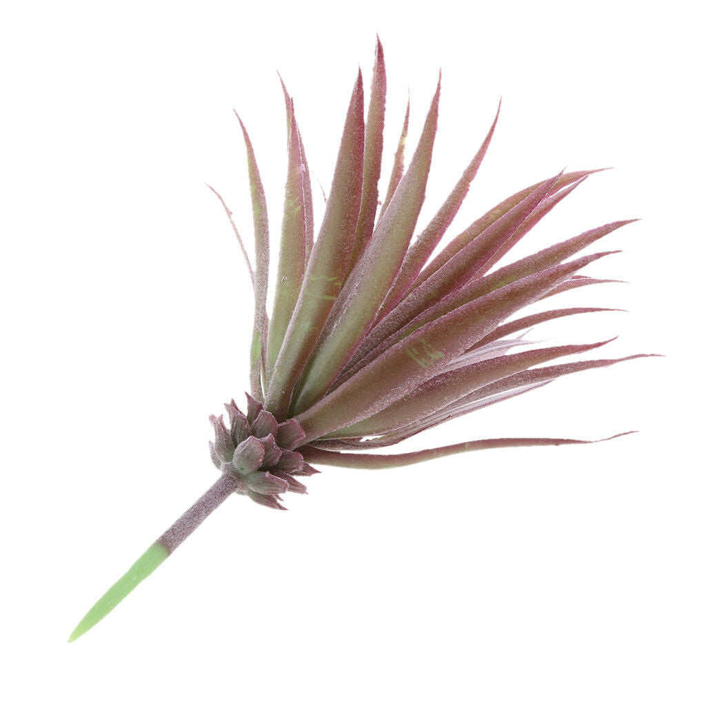 Artificial Succulent Plants Agave Titanota Cactus Simulation Flowers #5