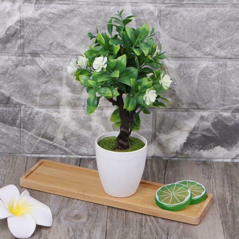 Rectangle Bamboo Wood Saucer Plant Tray Mini Plant Flower Pot Stand Pot Tray