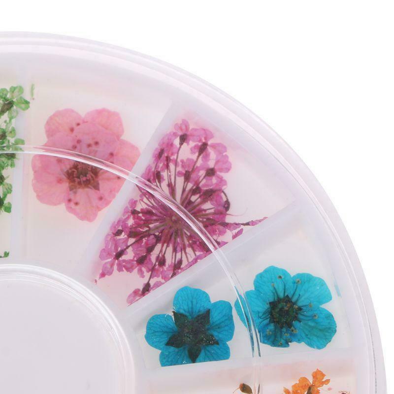 Real Nail Dried Flowers Nail Art Decoration DIY Tips Case Small Flowers Nails