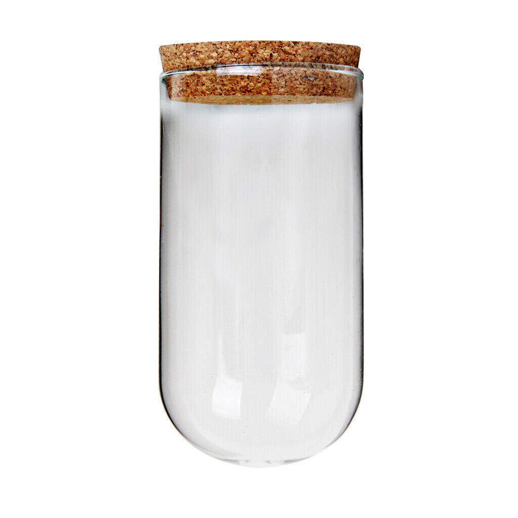 1x Glass Micro Landscape Decor Holder Terrarium Container Bottle Candlestick