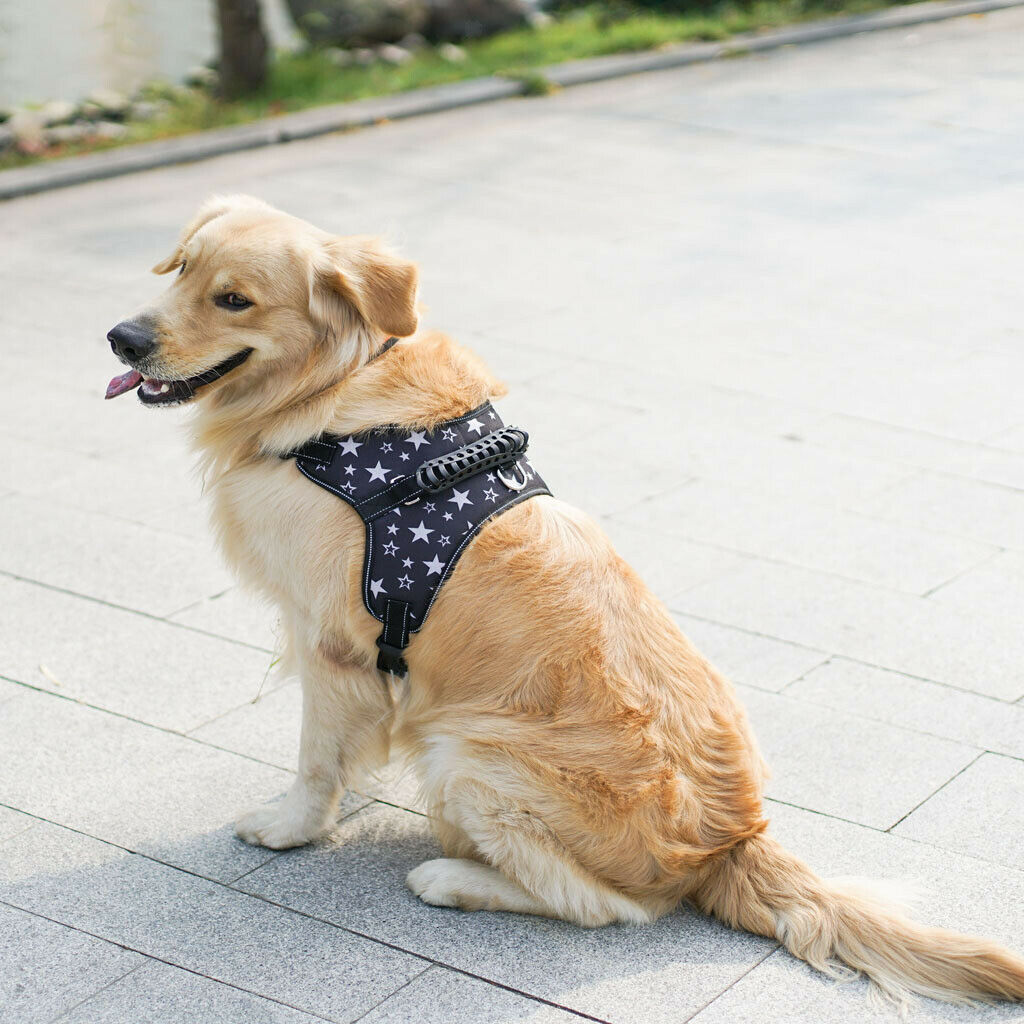 Adjustable Soft Thick Padded No Pull Dog Walking Harness Stars Size M