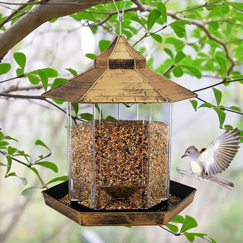 Bird Feeder Bottle Flower Shape Sensation  Coneflower Bird FeederB-qkM TL