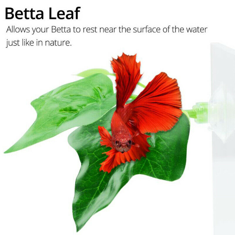 Aquarium Decor Artificial Plant Leaf Betta Rest Fish Plant With Suction Cu Tt
