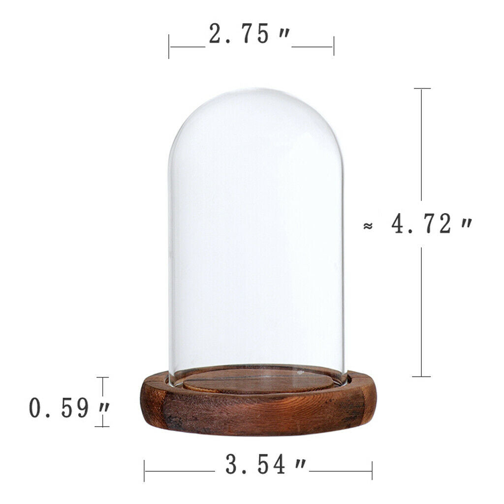 5Pcs 7x12cm Decorative Clear Glass Display Dome Cloche Bell Jar Brown