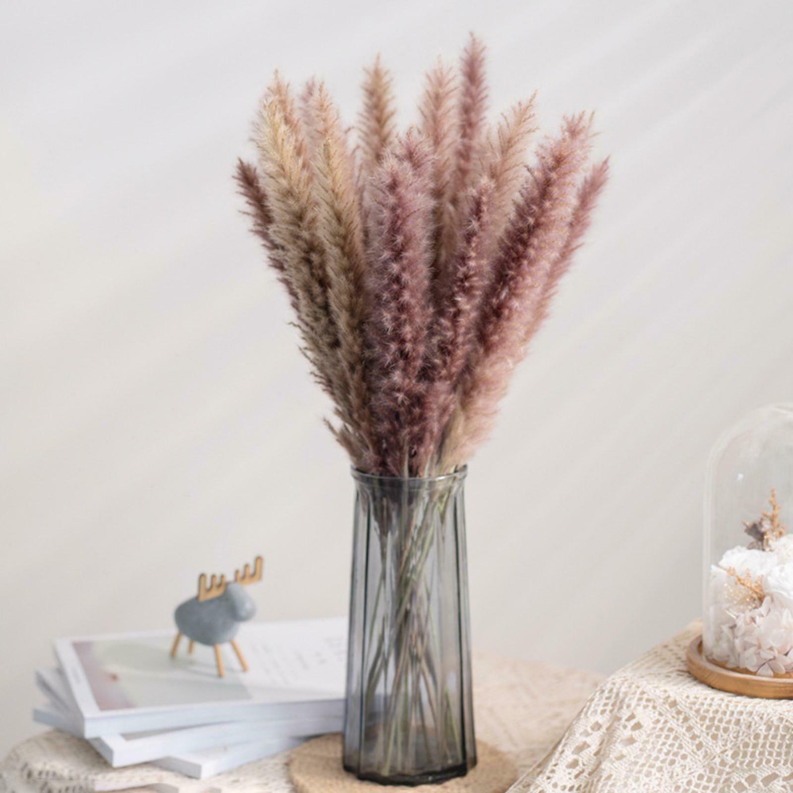 Pack of 70 Natural Dried Pampas Grass Home Party Boho Decor Photograph Props