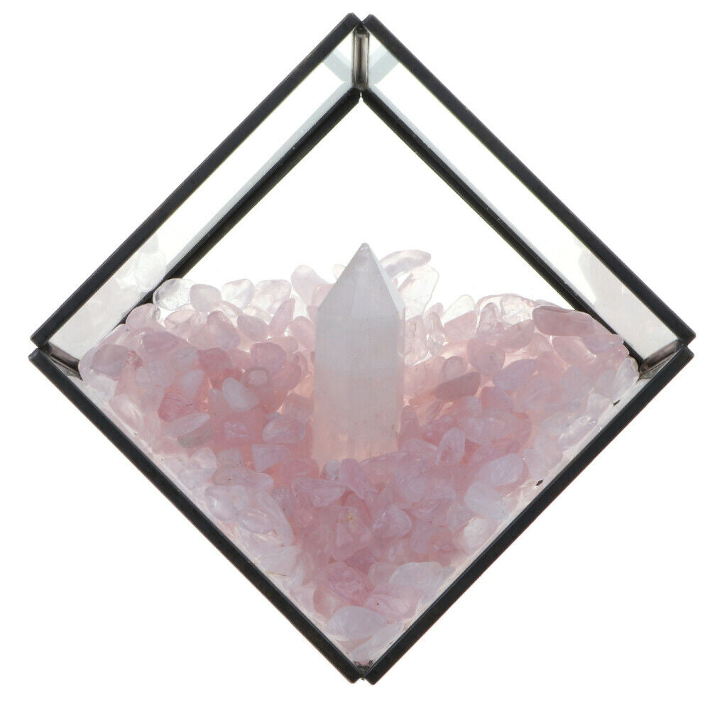 Natural Rock Mineral Collection Geology Earth Science Kit Ornament White