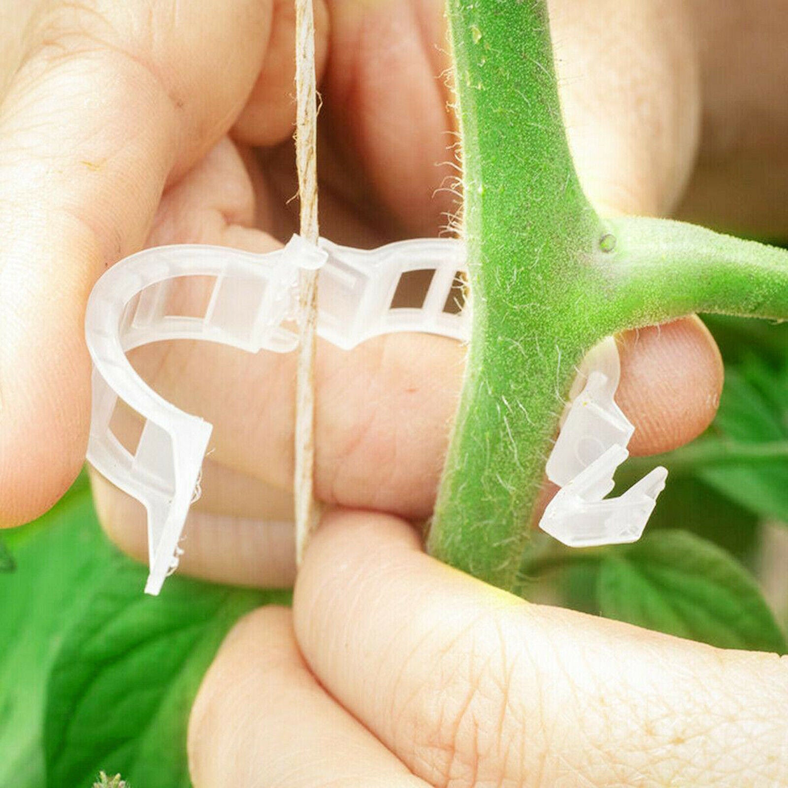 100x Plant Support Clips Tomato Trellis Vine Plants Greenhouse Fixing Tool