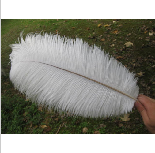Wholesale quality 8-10inch/20-25cm High Quality Natural OSTRICH FEATHERS
