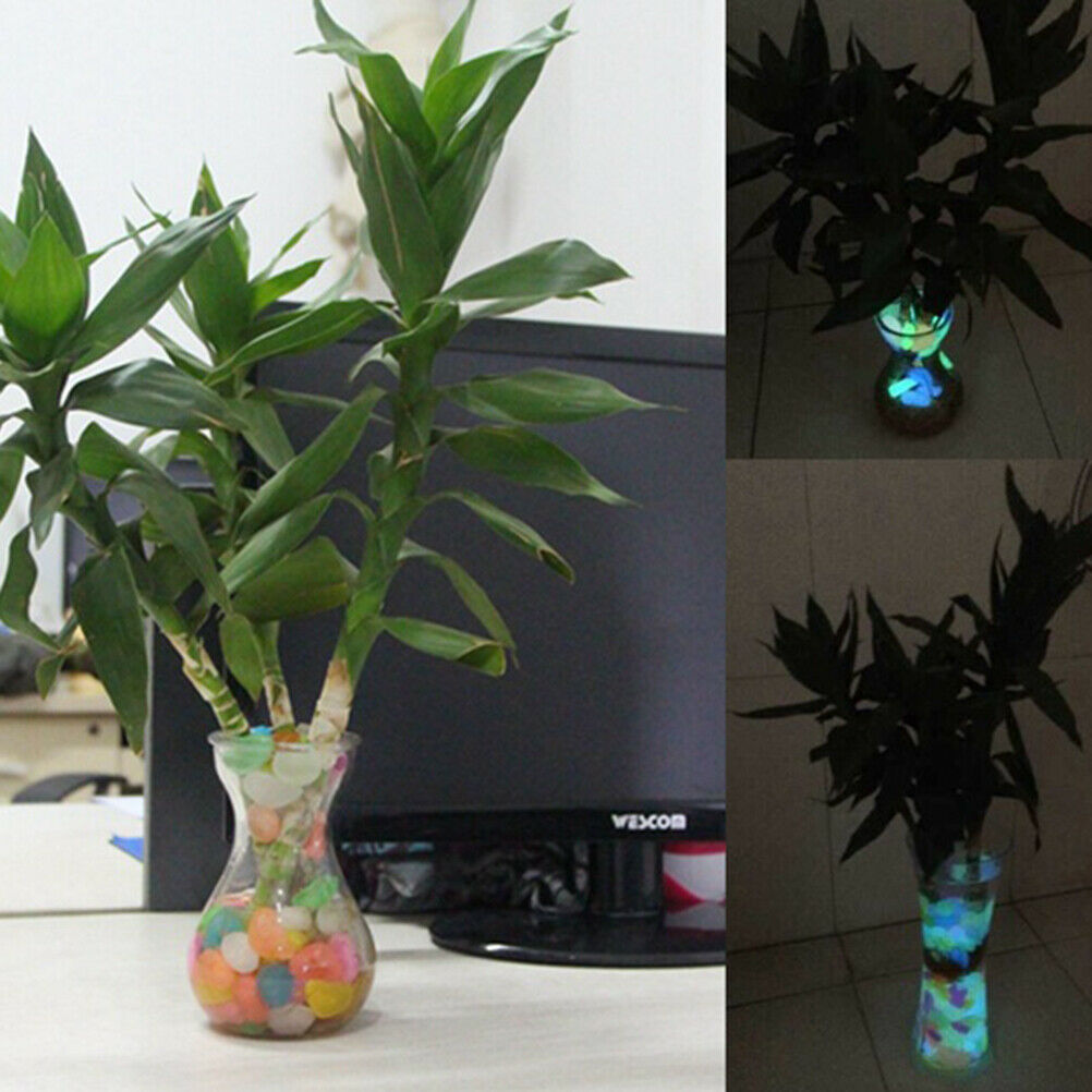 Luminous Garden Landscaping Aquarium Decoration Artificial Noctilucent St.l8