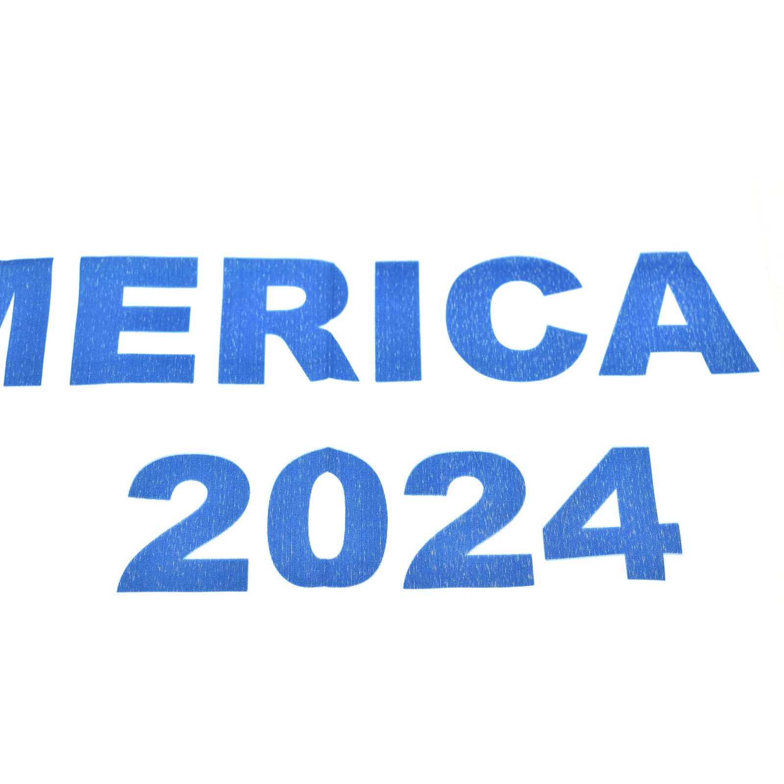 Donald Trump Flag Desantis 2024 White USA America Sign 3x5