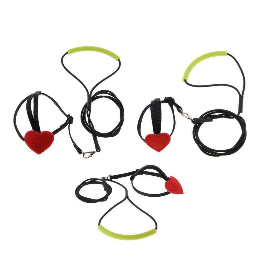 2pcs Soft Elastic Parrot Bird Leash for Budgerigar Lovebird Cockatiel 105cm