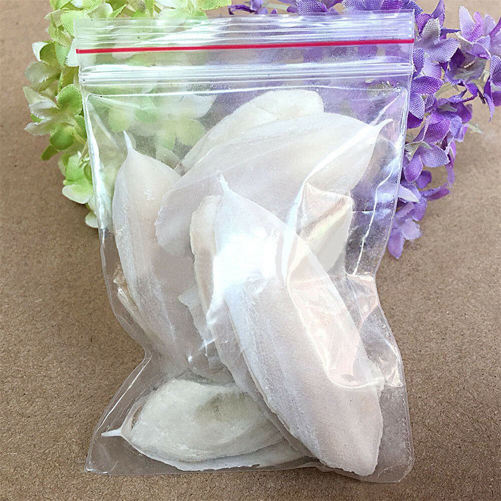 Bulk Cuttlefish Cuttle Fish Bone Parrott Bird Reptiles Rabbit Tortoise Food *