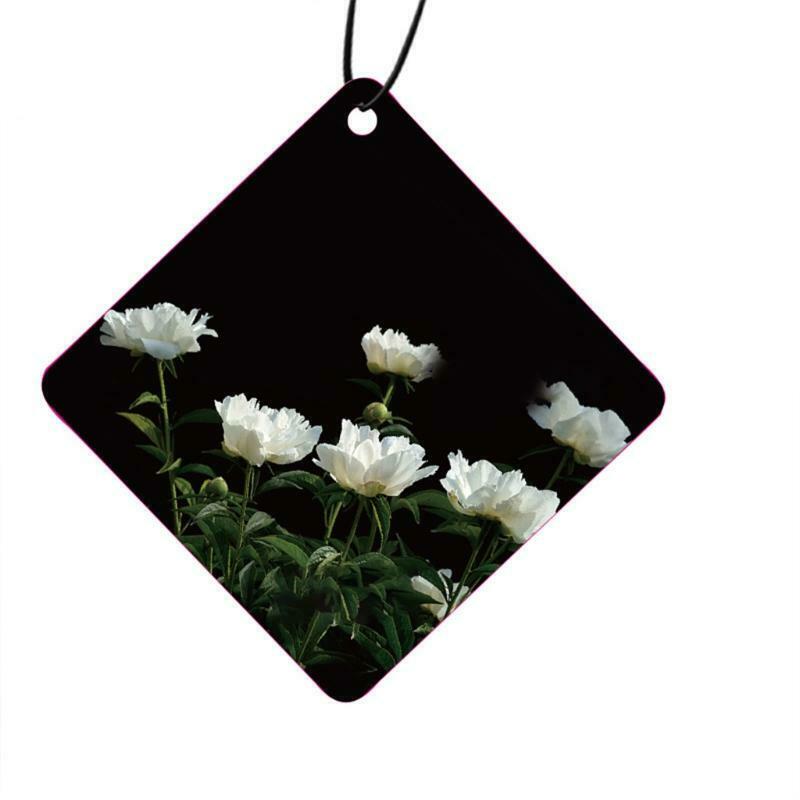 Scented Cards Air Freshener Hanging Automotive Smell Interior Decor for Locker