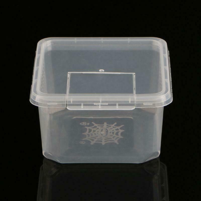 Reptile Terrarium Feeder Breeding Box Tortoise Spider Lizard Beetle Insect House