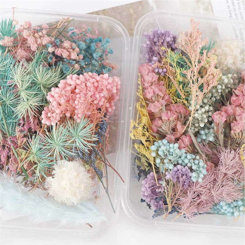 Dried Flower Aromatherapy Candle Making DIY Material For Candle Soap Mak CgR XC