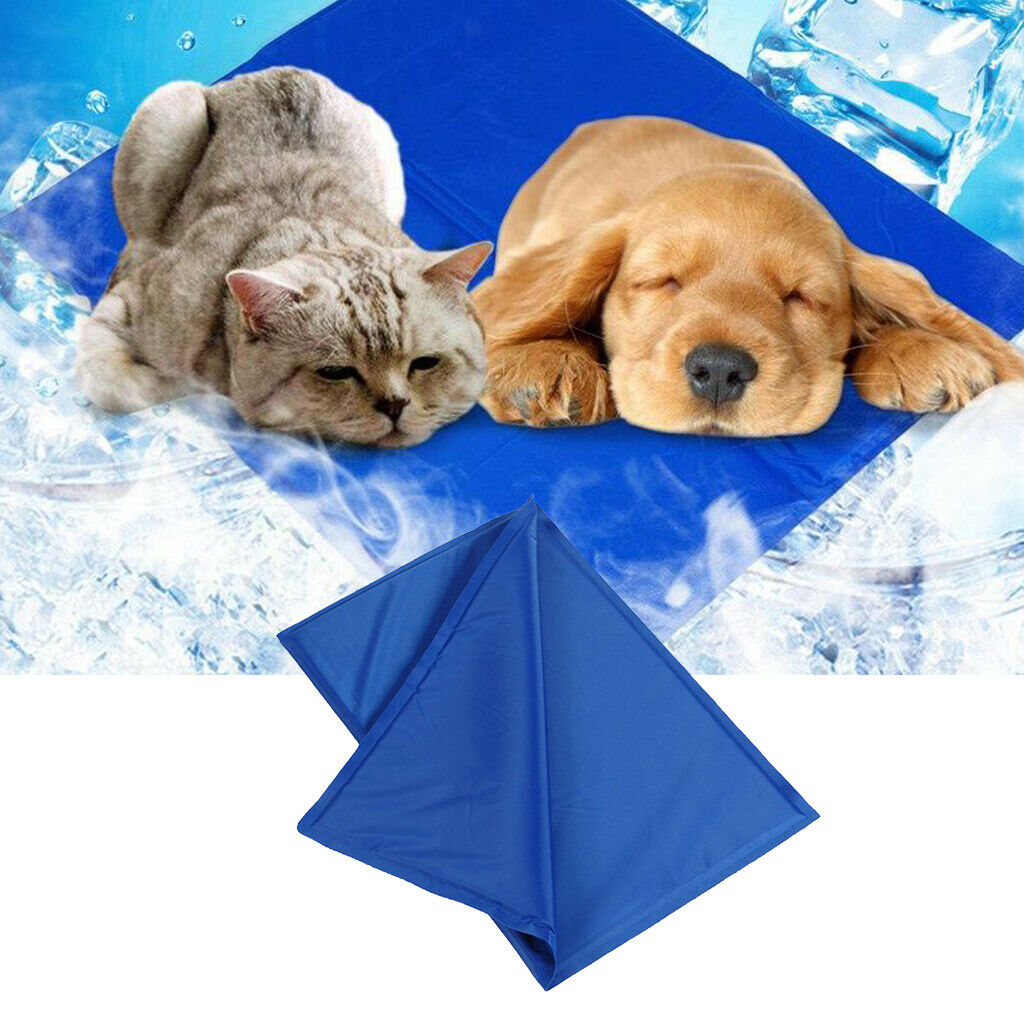 Pet Dog Cooling Mat Cool Pad Cooling Blanket Cushion for Beds Indoor 22x31cm