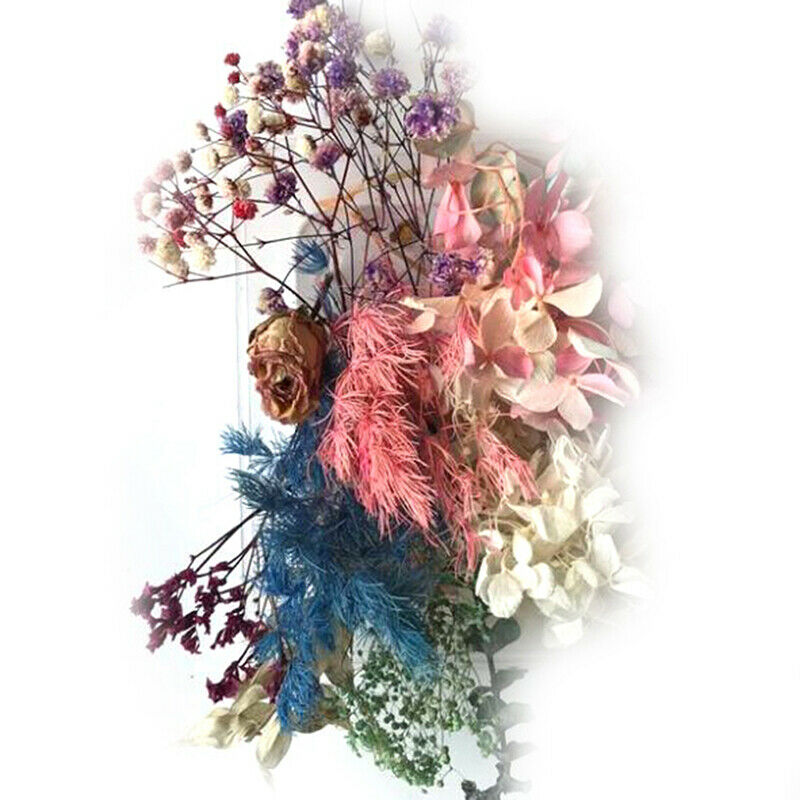 Random 1 Box Natural Dried Flower Dry Plants Real Flowers DIY Craft Acces.l8