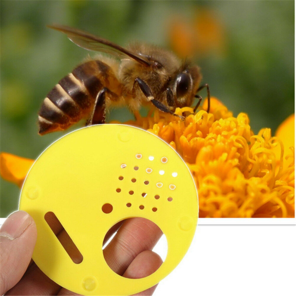 12 pcs/pack Beekeepers Bee hive Nuc box Entrance gates Beekeeping Equipment Qx