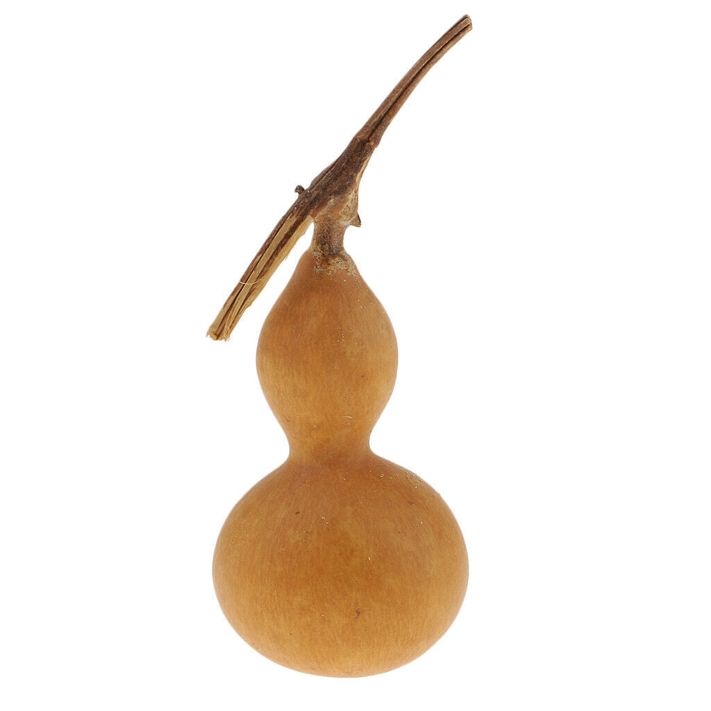 Natural Tiny Real Dried Gourd Ornaments Home Decoration Beaut Paint Gift