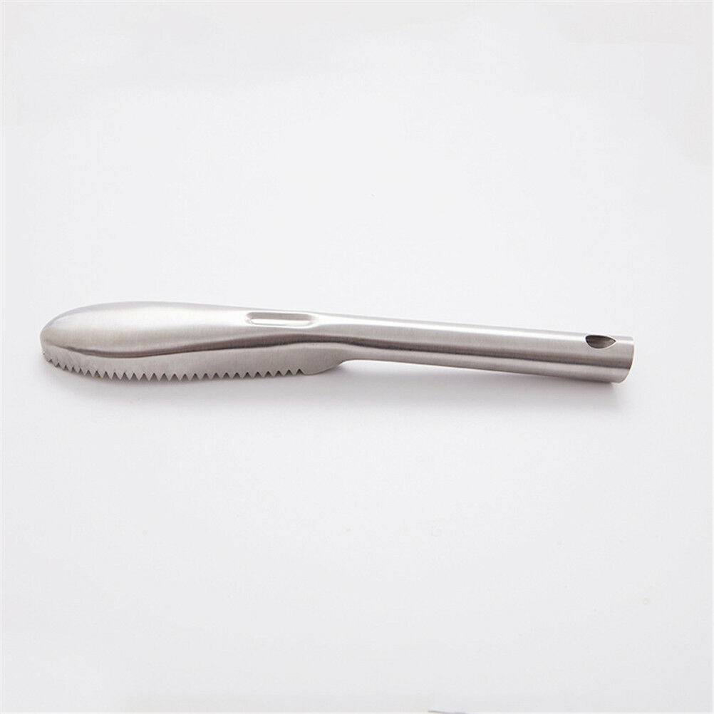 practical fast cleaning fish scale remover fish skin scaler scraper cleaner BDAU