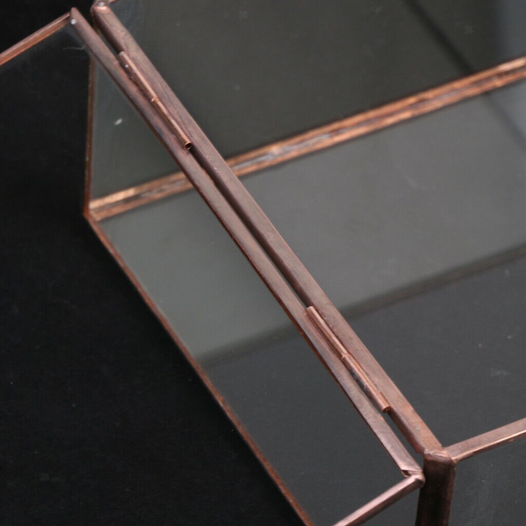 Geometric Glass Jewelry Box Tabletop Terrarium Plant Succulent Planter Box L