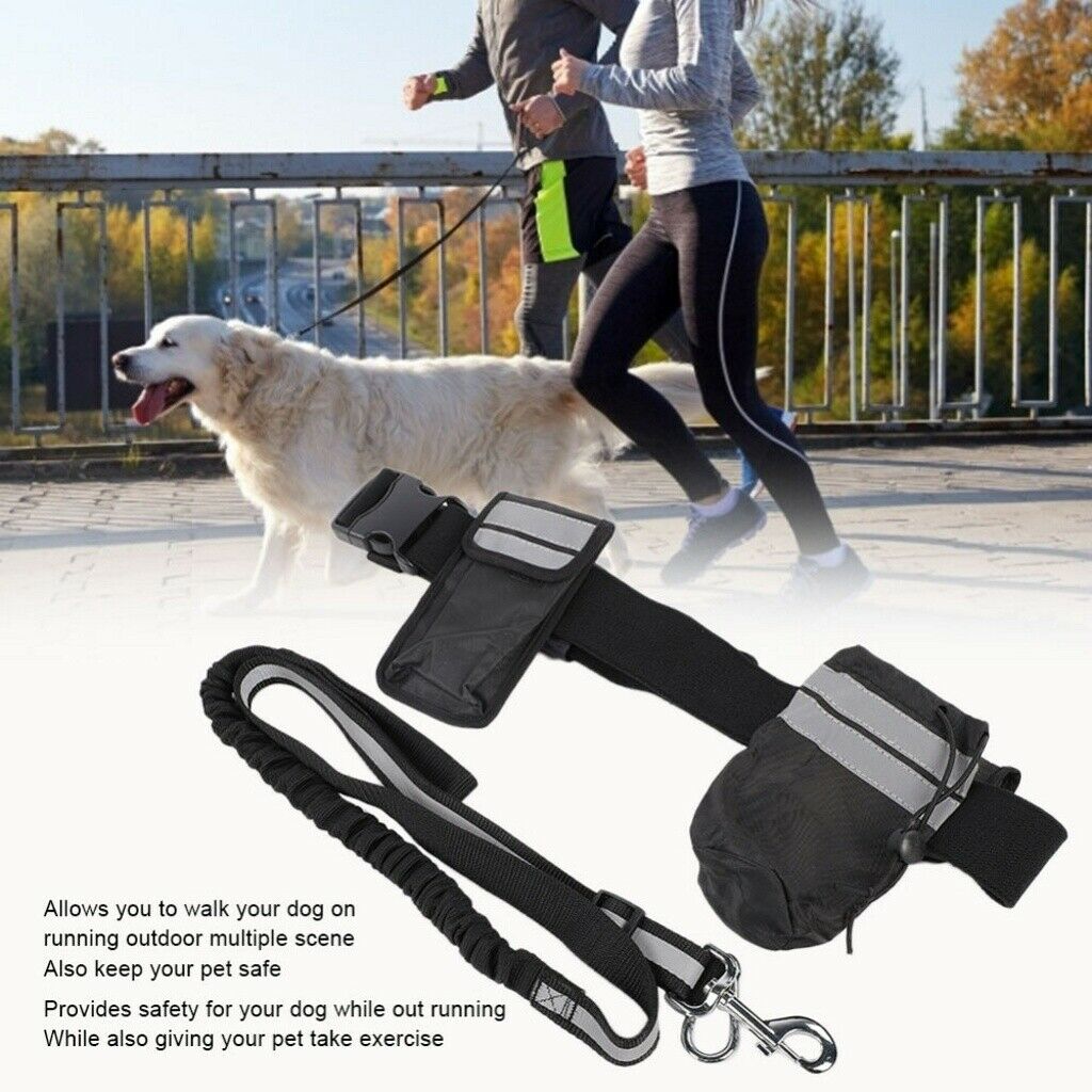 Pet Running Training Traction Rope Black Dogs Walking Leash Supplies with Belt