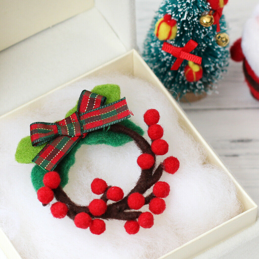 Brooch Needle Felting Kit For Beginners with Basic Tools Tutorials Wreath