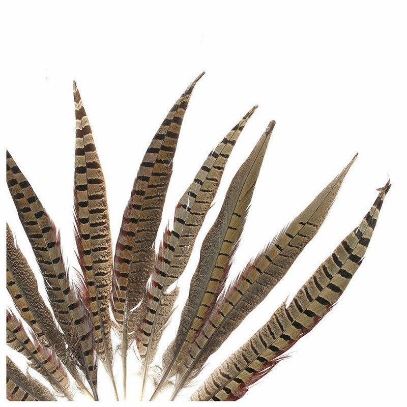 10PCS 30-35cm/12-14 inches  Pheasant Natural Tail Feathers diy