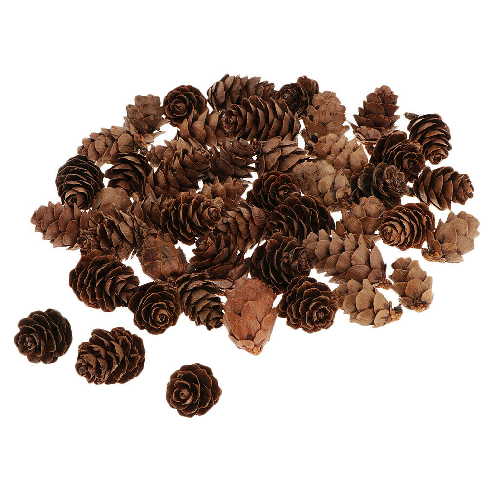 60 Natural Pine Cones 1-2cm Pinecone Florist Crafts for Home Table Ornaments