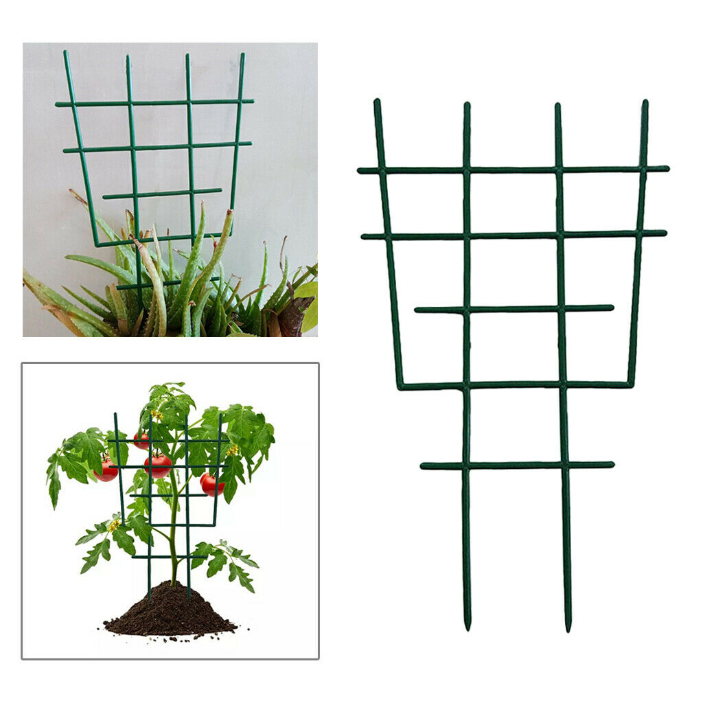 Mini Garden Trellis Flowers Vegetables Tomato Support for Climbing Plant