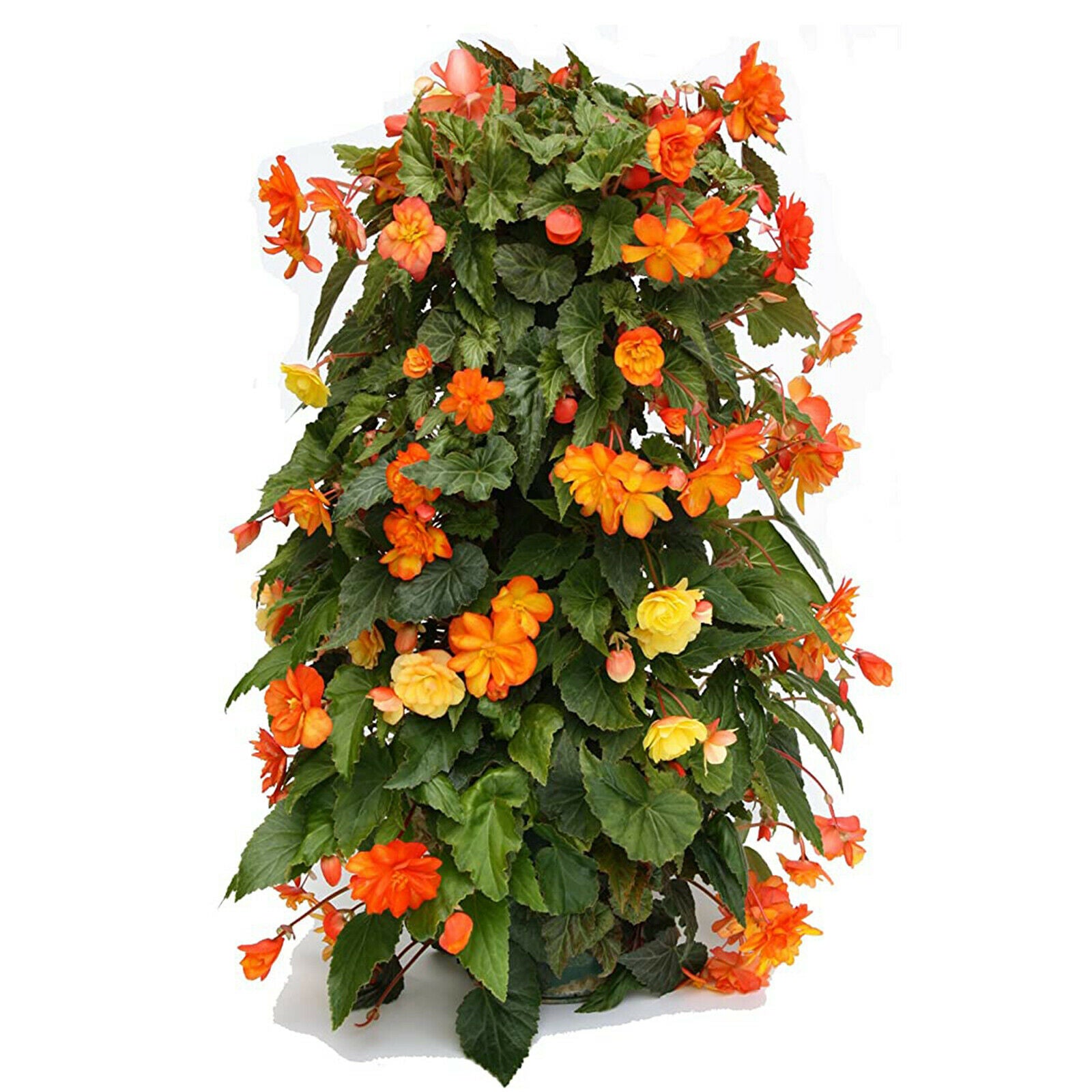 Vertical Hanging Flower Tower to Hold Living Artificial Plants Flowers Decor