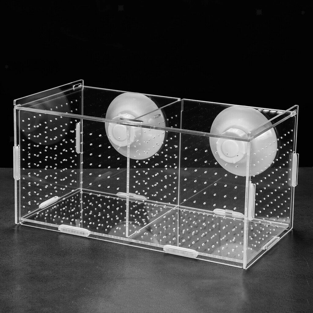 Aquarium Pet Fish Tank Guppy Breeding Breeder Rearing Box Hatchery #1