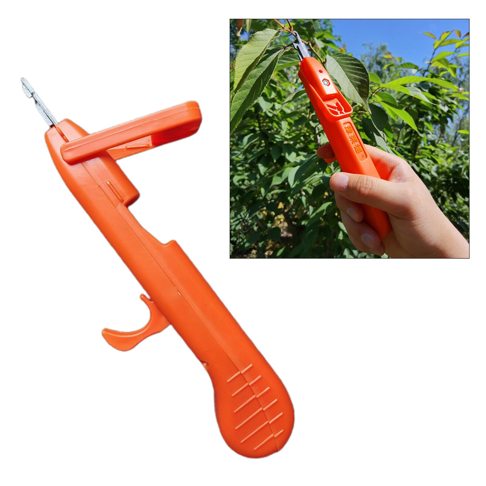 Small Fruit Picking Pepper Flower Branch Scissors Pruner Tools Portable