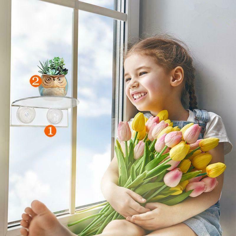 Ledge Suction Cup Window Shelf Acrylic Plant Shelf For Garden Bathroom Organizer