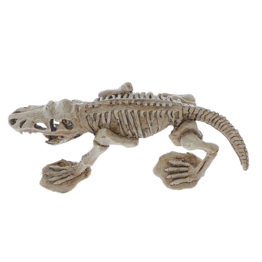 Decorative Ornament for Reptile Terrarium Vivarium Decor#6 Dinosaur Skeleton