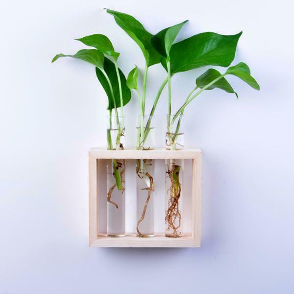 2Pcs Nordic Test Tube Glass Vase Hydroponic Vase Elegant Tabletop Vase For Water