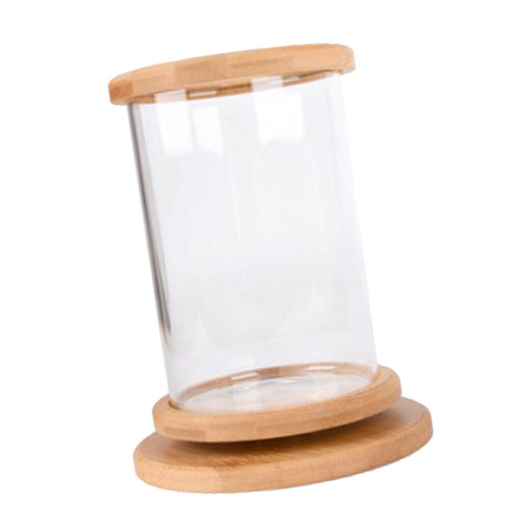 360 Degree Rotatable Cylinder Clear   Tank Small Aquarium Desktop Decoration