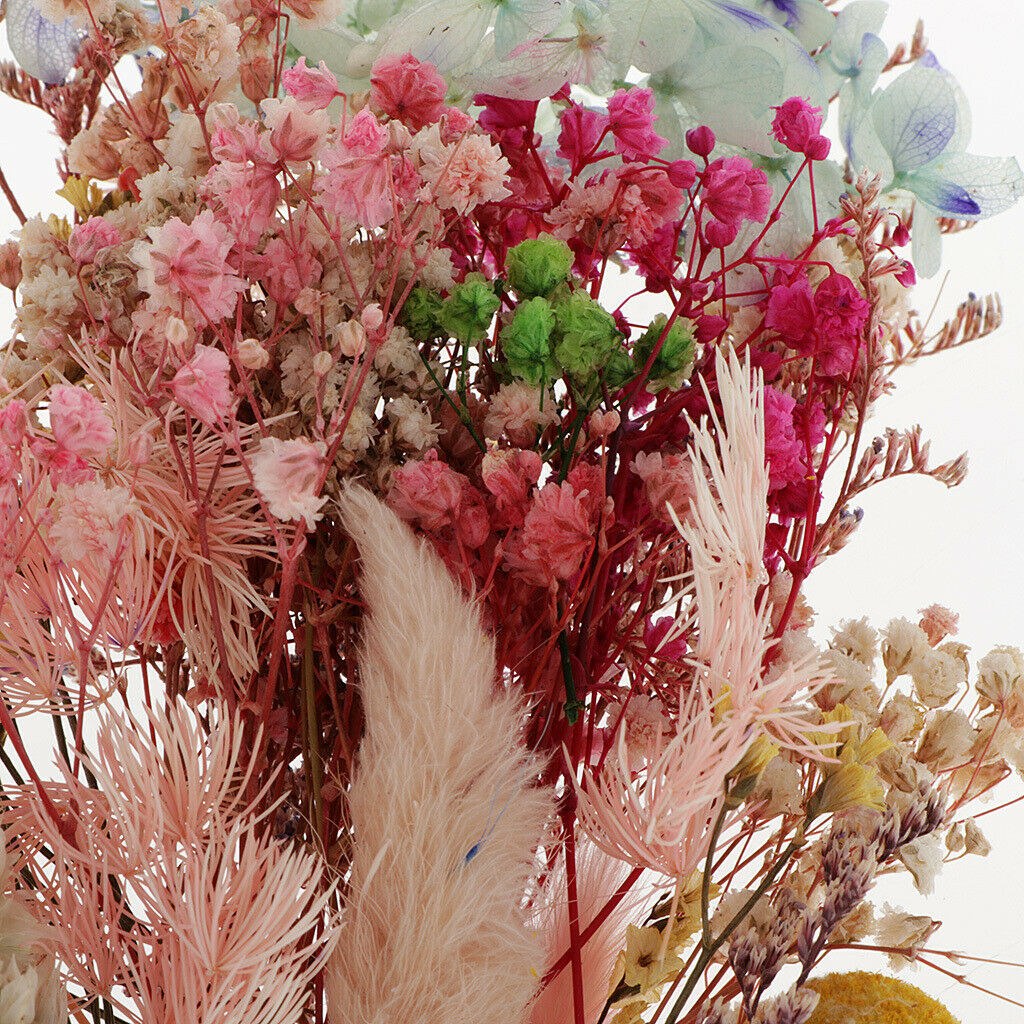 Dried Flowers Rose Decoration For Candle Making Scrapbooking Home Decor