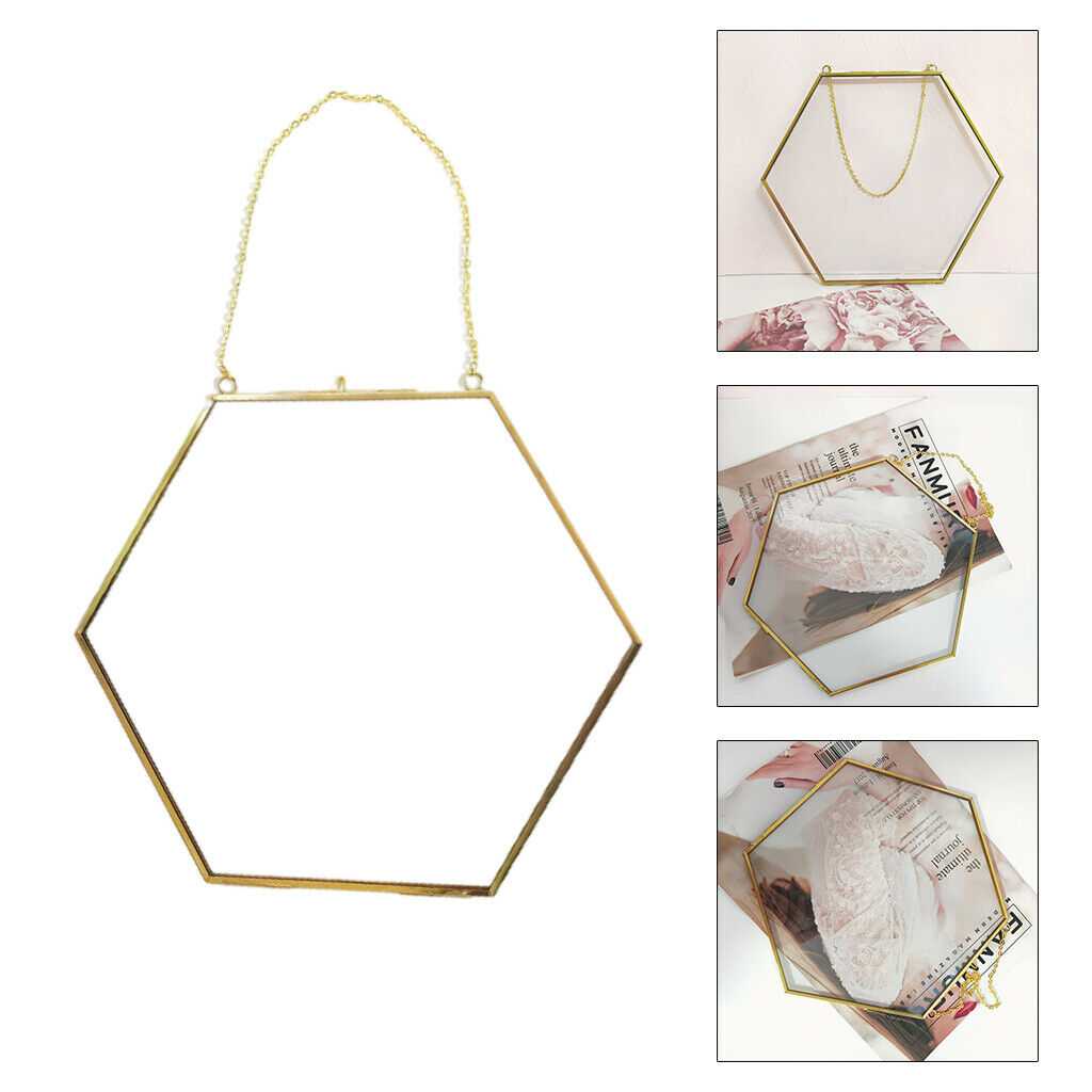 Double-sided hanging glass display frame for photo picture plant sample