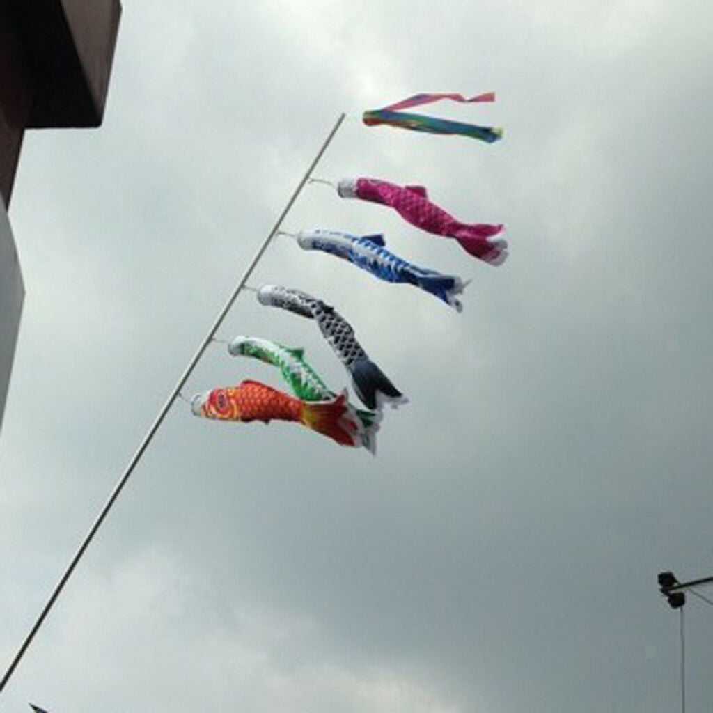 70cm Rainbow Japanese Windsock Carp Flag Koi Nobori Wind Streamer Kite Decor